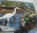 Bird Series 
