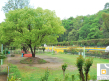 Balaju Park